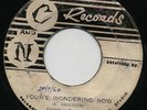 YOU'RE WONDERING NOW / THEY SAY   ANDY & JOEY ( Original JA *C & N* Records ) ?