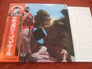 J.J. CALE 
