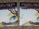 ANDERSON BRUFORD WAKEMAN HOWE - EVENING OF YES MUSIC - NEW 2 X 12
