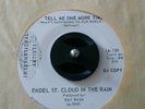 Texas Psych Garage Promo 45 Endel St. Cloud In The Rain ^ Tell Me One More Time