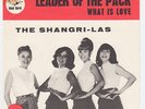 SHANGRI-LAS Leader Of The Pack RARE Denmark Sweden 45 UNIQUE p/s girl group HEAR