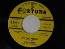 Pete De Bree & Wanderers 45 HEY MR. PRESLEY/LONG TALL LOU   Fortune 200 VG++/VG+