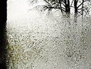Bon Iver For Emma Forever Ago Vinyl LP New Sealed Clear Limited /1000 Rare OOP