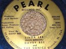 PRIVATE 1960 BLUE WAX ND Rockabilly 45 - DAVEY BEE & SONICS 