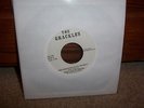 THE GRACKLES Who Needs Wildlife Anyway punk 45 kbd Rare STARING DOWN THE BARREL
