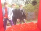 BEE GEES Studio Albums 6 lp  vinyl box set 1st Idea Horizontal barry gibb robin