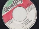 QUALITY REGGAE 45 CARLTON MANNING BETTER DAYS  ?