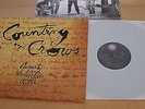 Counting Crows - August And Everything After LP