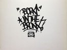 BORN IN THE BRONX HIP HOP PACKAGE  RARE JO CONZO BUDDY ESQUIRE COLD CRUSH