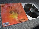 MOTHERHOOD - DOLDINGER´S MOTHERHOOD       LIBERTY  RECORDS - Prog Rock Kraut