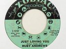 Northern Soul 45   Ruby Andrews   Just Loving You   Zodiac   mp3