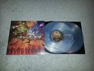 Poison the Well The Opposite of December/Tear From The Red 2LP Clear