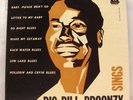 BIG BILL BROONZY Sings - RARE 10