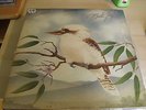 MATT TAYLOR // MUSIC 1974 RARE AUSSIE PSYCH/BLUES. LP