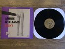 Andre Williams - Silky - Rare OOP Excellent Vinyl The Gories