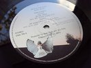 KATE BUSH NEVER FOREVER 1st  Press UK LP MINT VINYL & RARE POSTER SIGNED by KATE