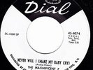 THE MAGNIFICENT 7 Never Will I DIAL 4074 45 NORTHERN SOUL R&B MINT