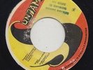 SUNJAM ISLAND SOUL/DISCO 45 BARRY BRYSON GOING TO THE PARTY/MY BABY ?