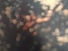 pink floyd obscured by clouds original 1972 uk lp shsp 4020 rounded sleeve ex++