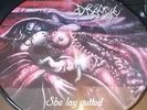 Disgorge - She lay gutted [PICTURE 12
