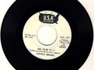 RARE 45 Lonnie Brooks - The Flip parts 1 & 2 on U.S.A. Records DJ WL