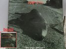 PEARL JAM Who Killed Rudolph 45 1992 FAN CLUB DEMO Sonic Reducer/Ramblings