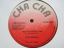 Peter Broggs Never Forget Jah Killer Roots 12