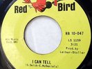 JOHN HAMMOND 45 I wish you would / I can tell RED BIRD Blues Rock   c1203