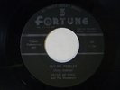 Pete De Bree-mis-press 45 HEY MR. PRESLEY/Jimmy Gartin HONEY WON'T Fortune  VG++