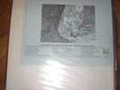 THE ROLLING STONES GIMME SHELTER TWO ORIGINAL SOUNDTRACKS 2 lp set  TMOQ