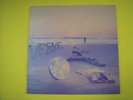 Disco Vinilo VERVE single año 1992- Gravity grave