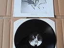 PJ HARVEY Dress EP TOO PURE 12