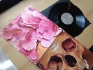 STILL LIFE SAME ORIGINAL GERMAN 1ST VERTIGO SWIRL in 1970 FOC PROGROCK MONSTER