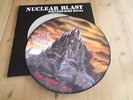 Picture Vinyl  IN FLAMES 