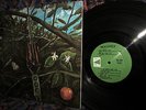 PLAYS CLEAN = RARE ORIG 1968   DRAGONFLY = HARD HEAVY FUZZROCK PSYCH BLASTER