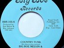 BIG BOE MELVIN & NIGHT HAWKS   Country Funk   '81 private BOOGIE breaks    HEAR