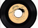 The Rockin Aires 45 