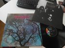 AMON DÜÜL PHALLUS DEI 1969 MINT GERMAN KRAUTROCK MONSTER