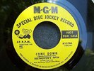 60s GARAGE--BEETHOVEN'S FIFTH--COME DOWN / THE LAST THING ON MY MIND--MGM , DJ