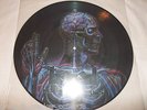 TOOL - LATERALUS  PROMO LP Picture Disc Vinyl  VERY HARD TO FIND