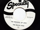 DEUCES WILD Rockabilly Early R&R PROMO 45rpm Meaning Of Love b/w In A Whirl CLIP
