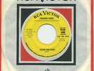 FREDDIE PARIS   There She Goes   popcorn/R&B/soul promo   RCA 9571 $