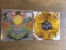 MEATBODIES - MEATBODIES COLOR VINYL LP ONLY 200 PRESSED TY SEGALL Fuzz