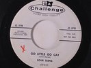 FOUR TEENS: Go Little Go Cat  Spark Plug 45 (dj, wol) rare Rockabilly