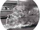 Rage Against the Machine Self Titled Vinyl New