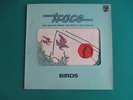 Trace (ex Focus) prog rock Lp- Birds (original Holland die-cut cover)