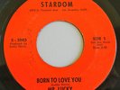 Rare Soul 45 MR. LUCKY Born To Love You b/w Taking A Chance STARDOM 2003 Orig VG