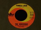 The Survivors-Pamela Jean-RARE 1964 Brian Wilson Surf 45-CLEAN-Beach Boys