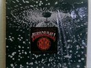 Mirror Ball 2 LP Neil Young Pearl Jam 1995 Reprise shrink w/sticker, insert NM