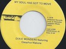 DIXIE WONDERS - MY SOUL HAS GOT TO MOVE - THERE IS A KING OF KINGS SOMEWHERE
